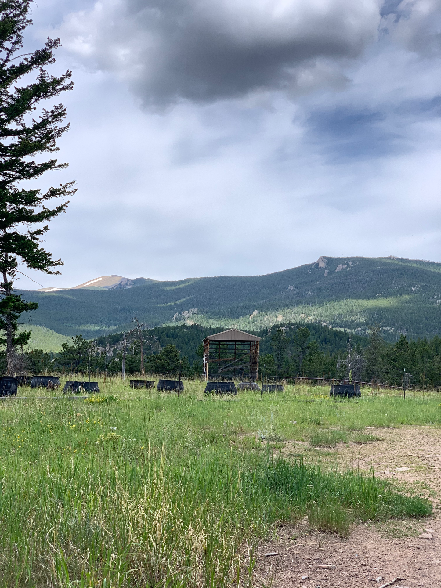 Colorado Gift Box